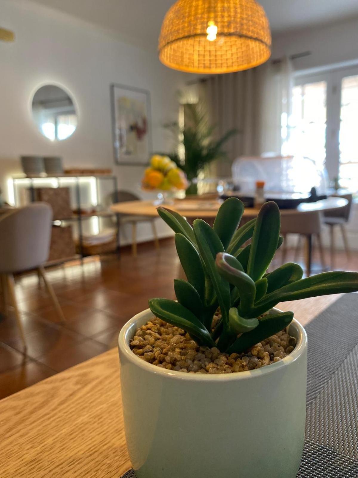 Hotel Residencial Dora براغا المظهر الخارجي الصورة